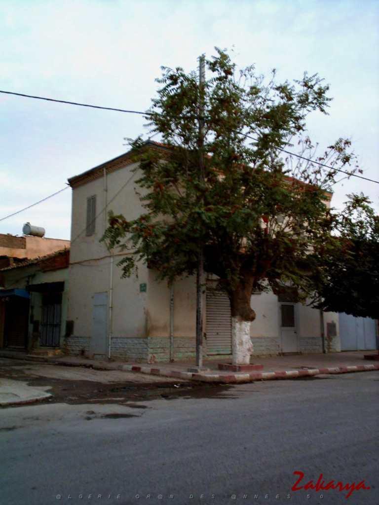 LE TELAGH AU FIL DES RUES 02.JPG